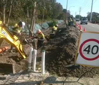 calleya cable project