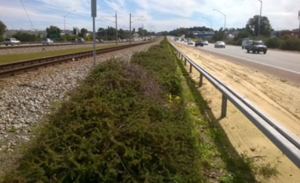 joondalup project
