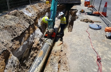 busselton project