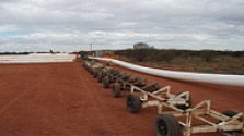 mt keith project